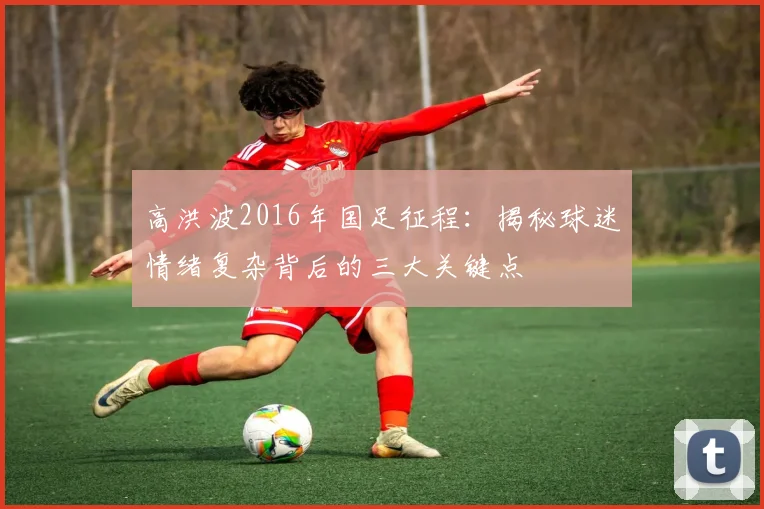 高洪波2016年国足征程：揭秘球迷情绪复杂背后的三大关键点